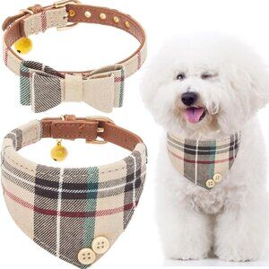 EXPAWLORER Dog Collar and Bandana Set